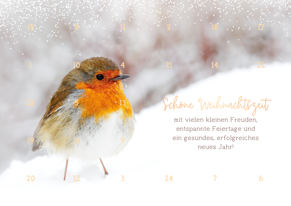 Schöne Weihnachtszeit...