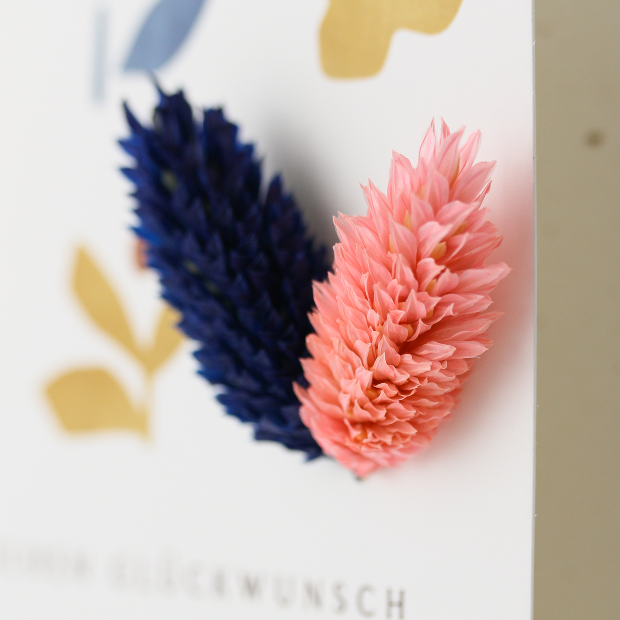Herzlichen Glückwünsch