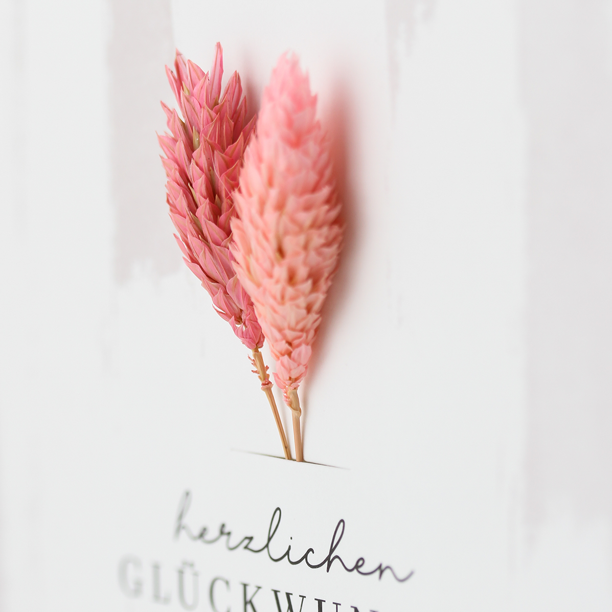 herzlichen Glückwunsch
