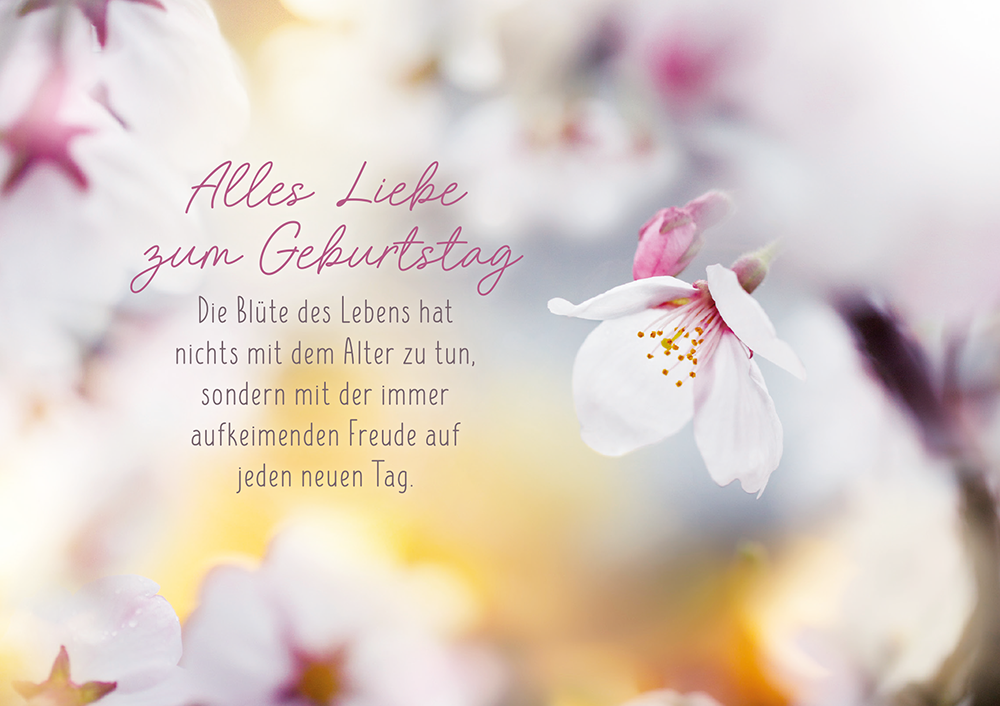 Mut ️ Grafik Werkstatt