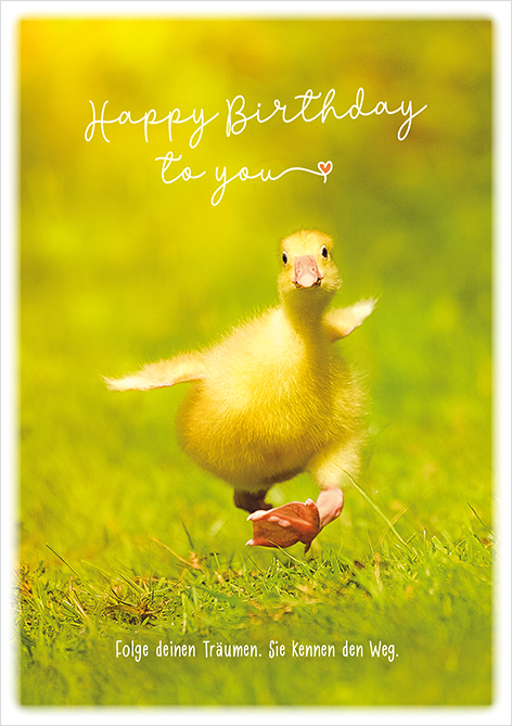 Happy Birthday...