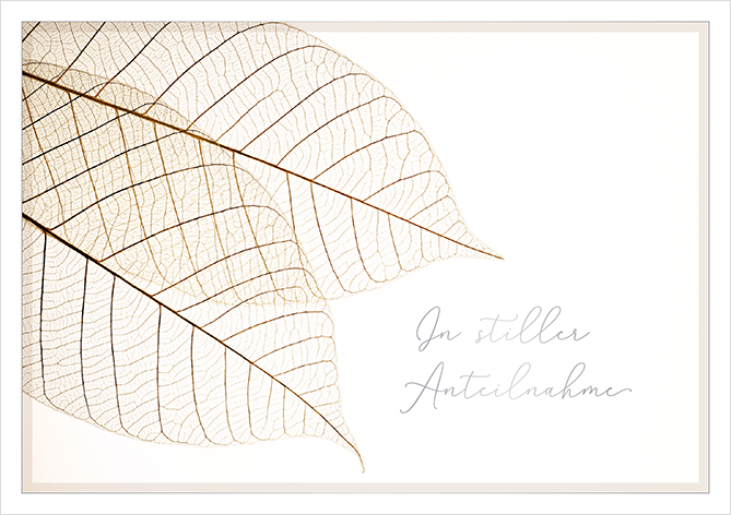 In stiller Anteilnahme