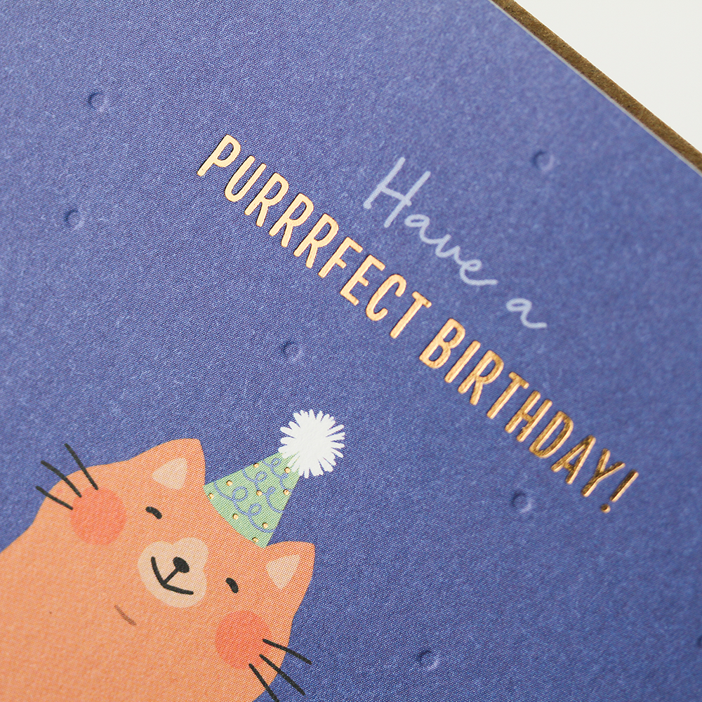 Have a purrrfect birthday!