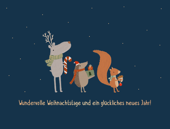Wundervolle Weihnachtstage...