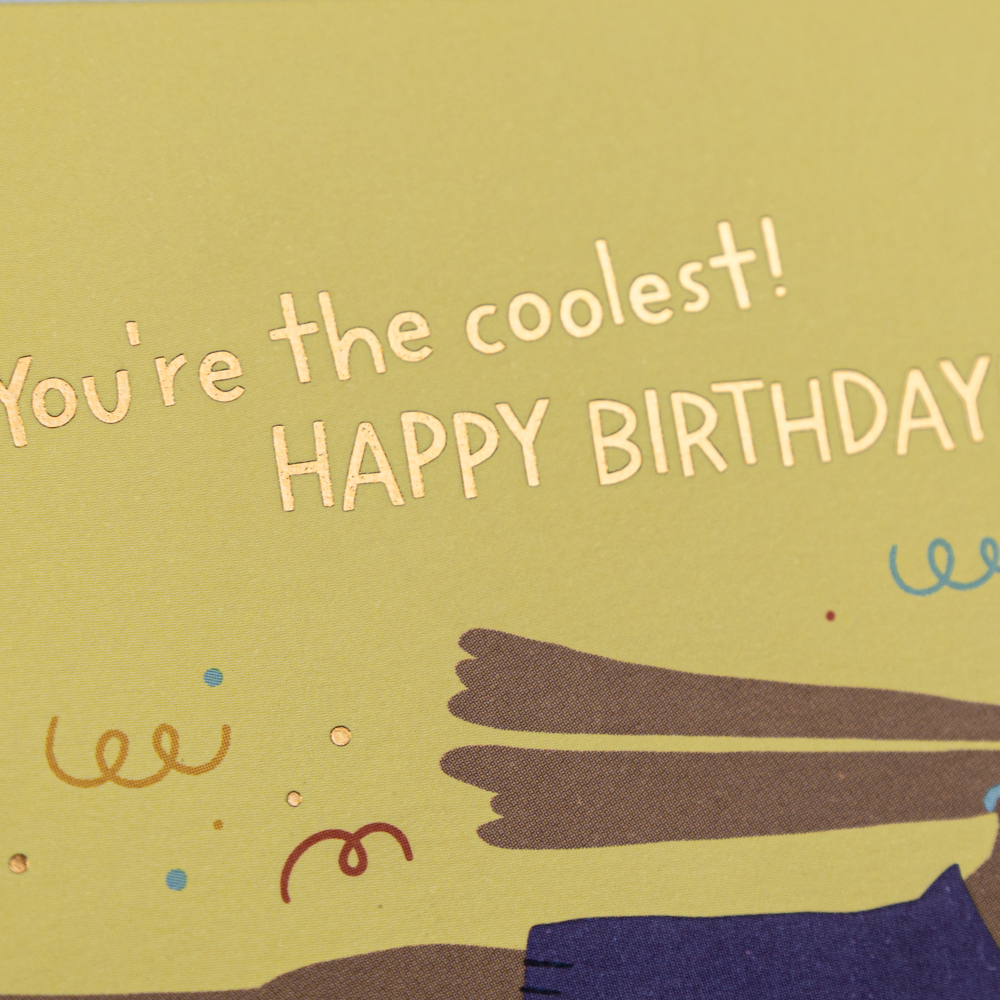 You're the coolest!...