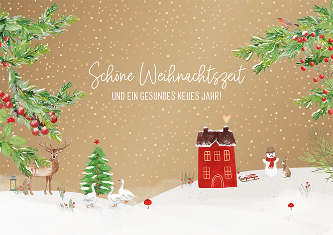 Schöne Weihnachtszeit...