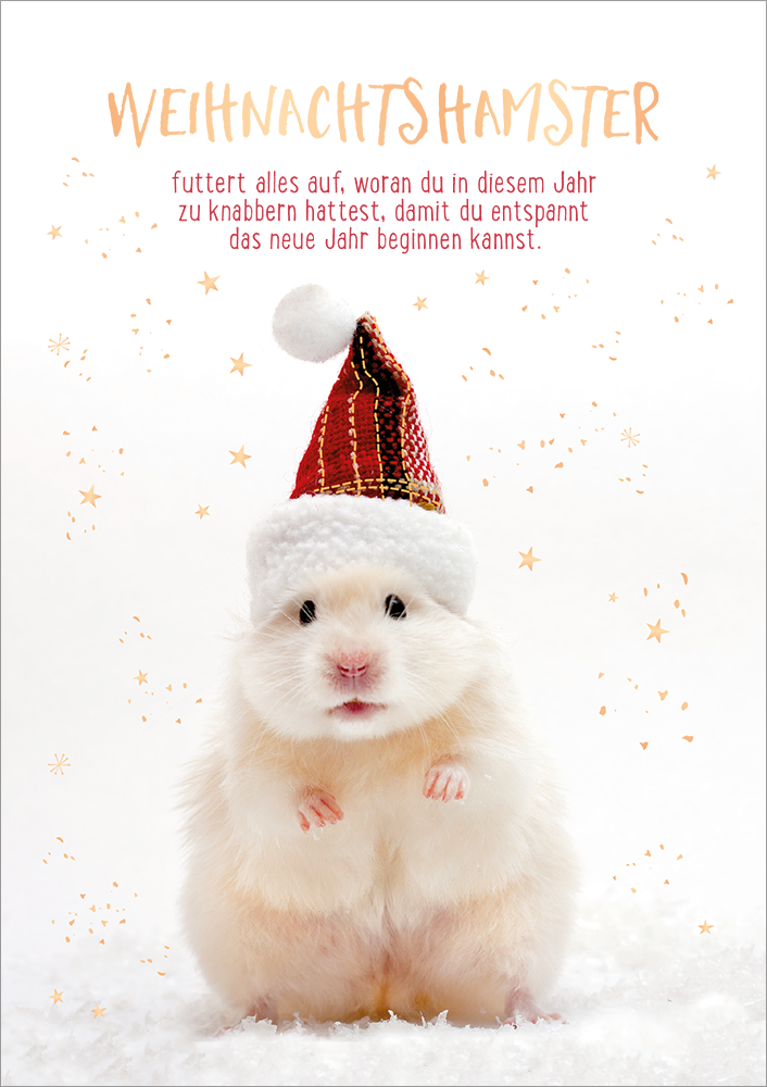 Weihnachtshamster