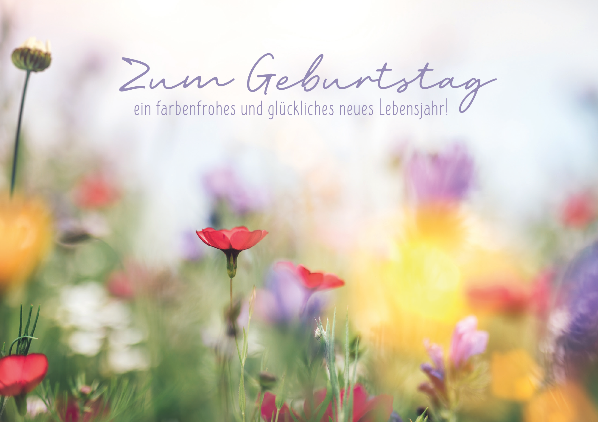 Alles Gute Zum Geburtstag Fotografie Grafiken Geburtstagsw nsche F r alles-gute-zum-geburtstag-fotografie-grafiken-geburtstagsw-nsche-f-r