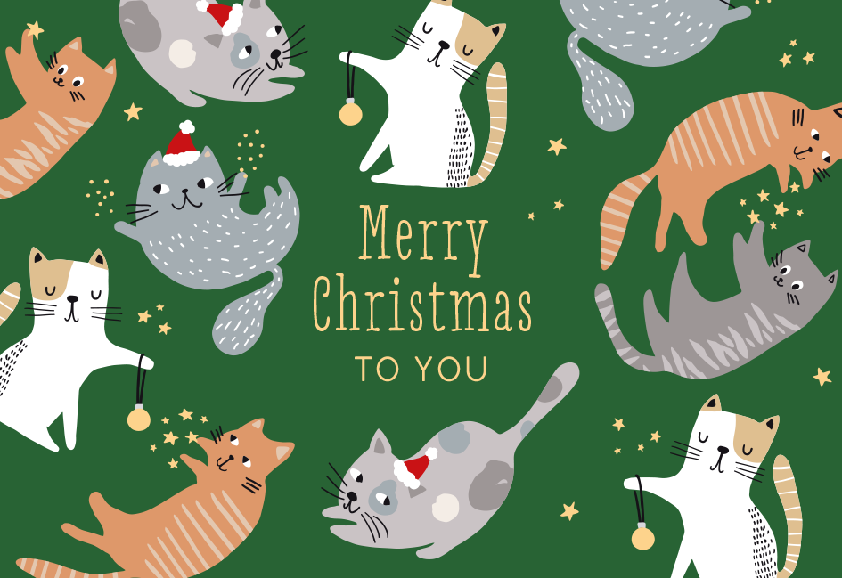 Merry Christmas to you