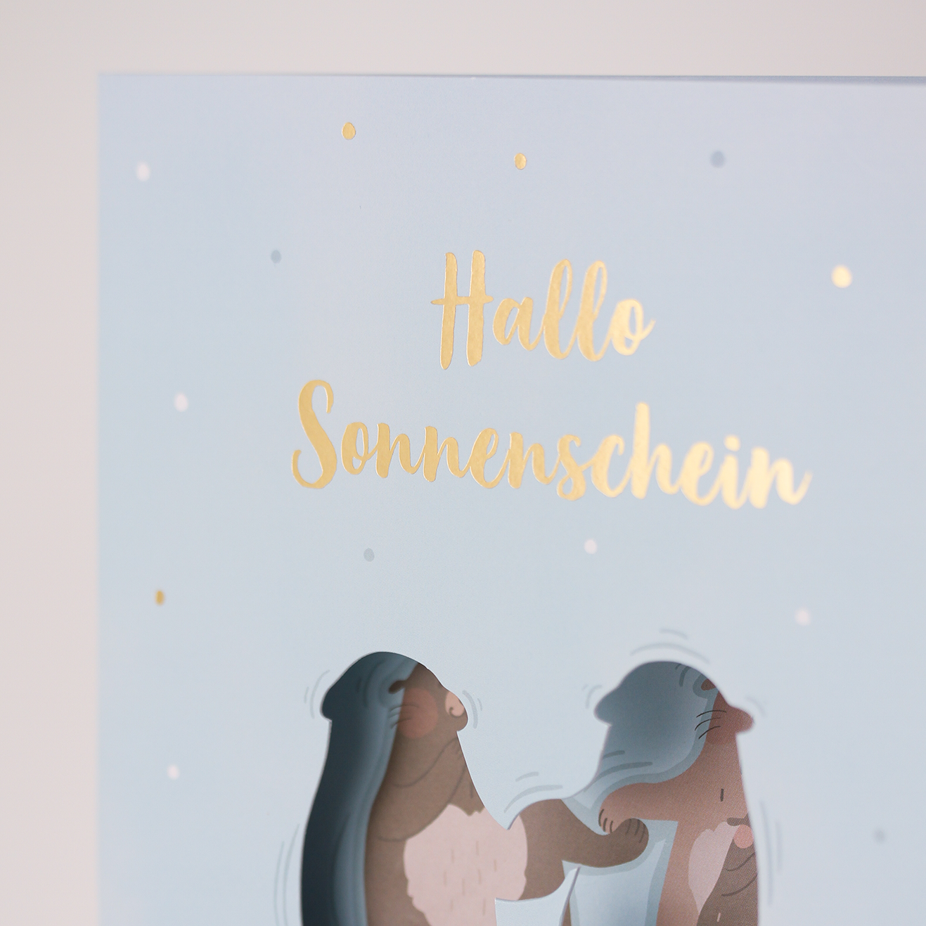 Hallo Sonnenschein