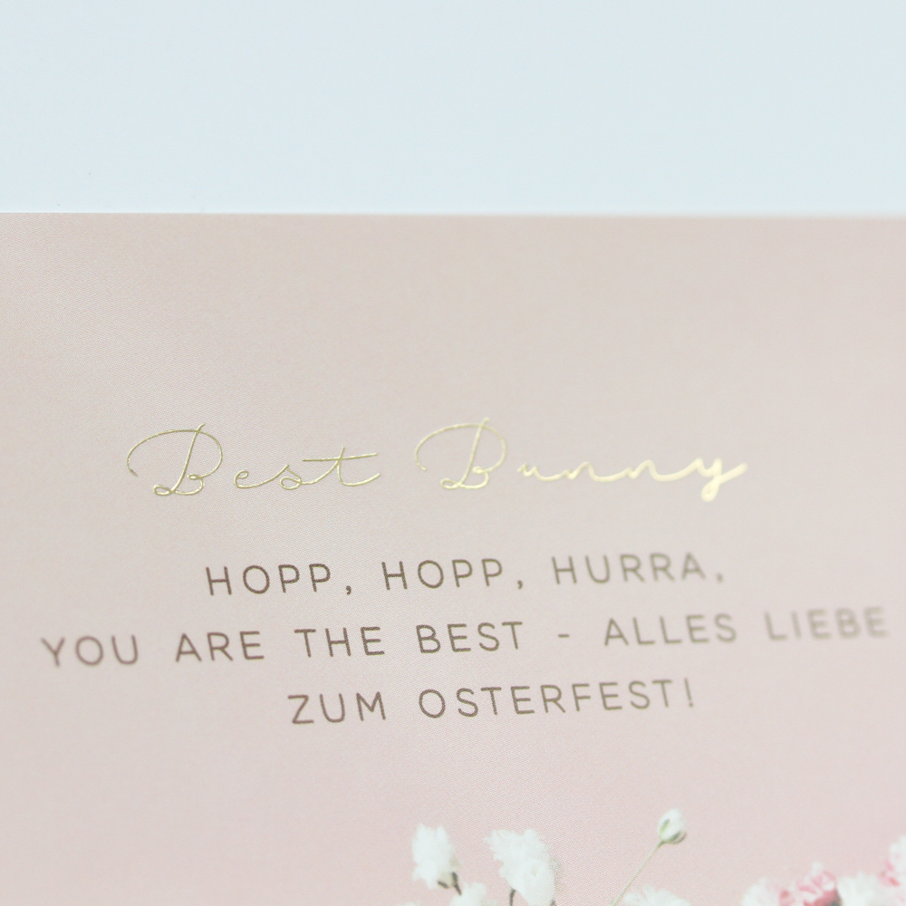 Best Bunny