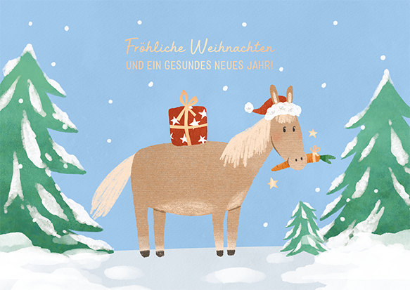 Fröhliche Weihnachten...