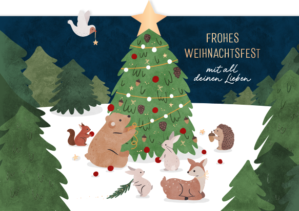 Frohes Weihnachtsfest...