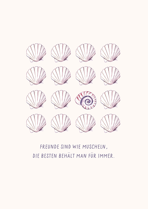 Freunde sind wie Muscheln...