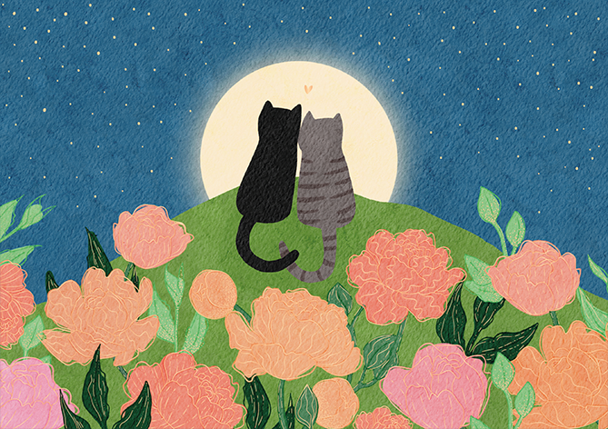 Katzen