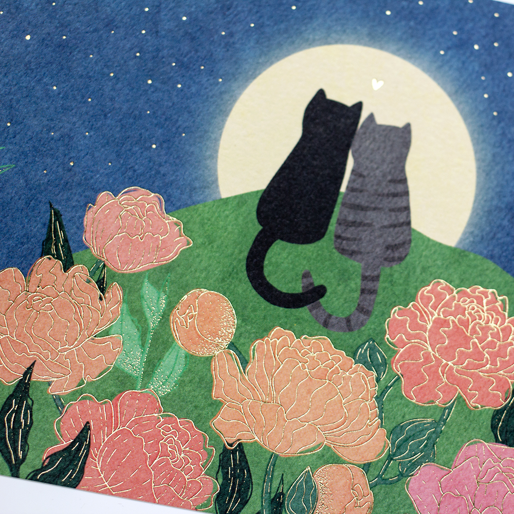 Katzen