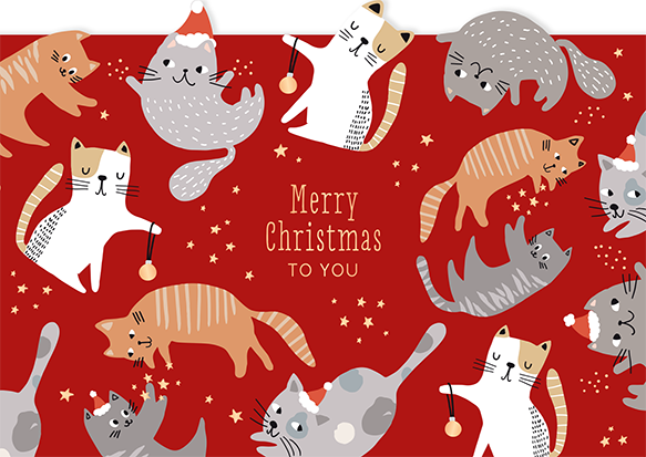 Merry Christmas to you