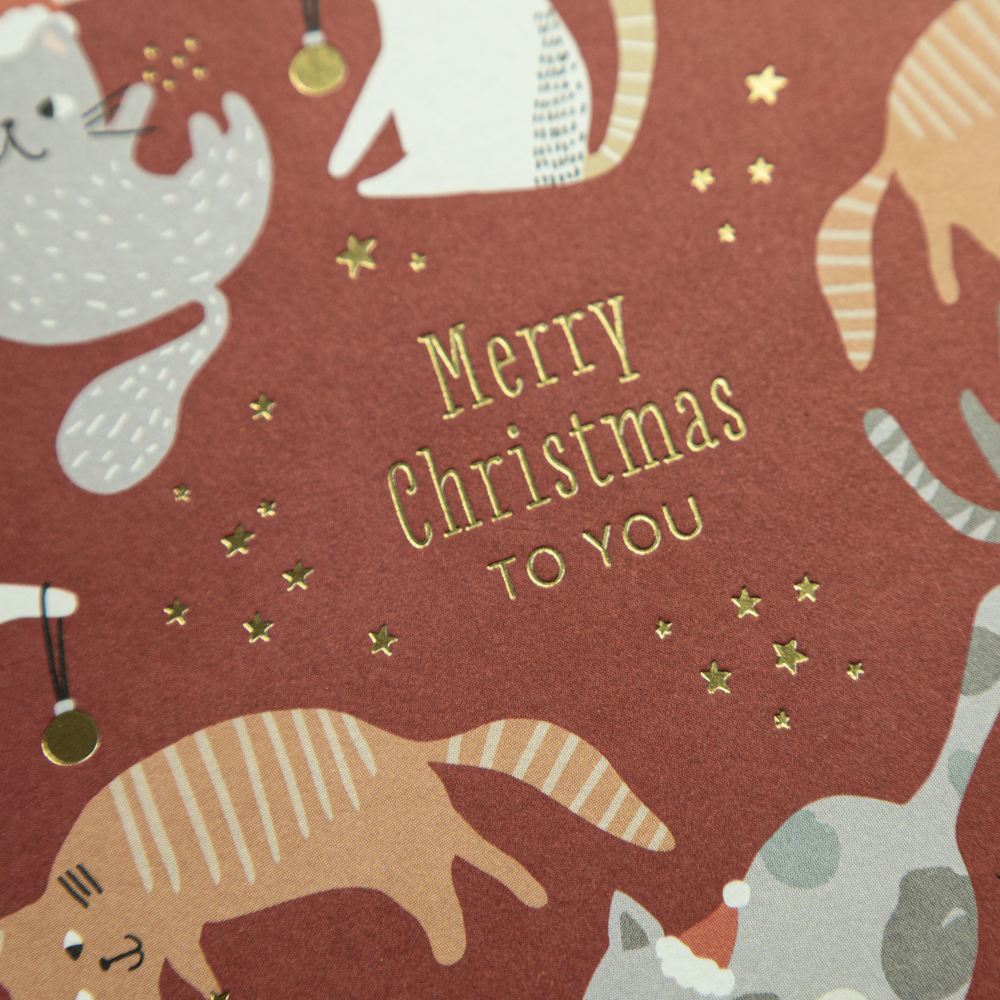 Merry Christmas to you