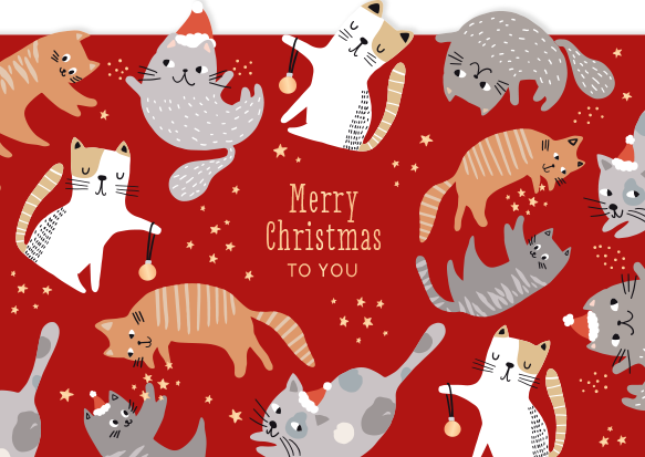 Merry Christmas to you