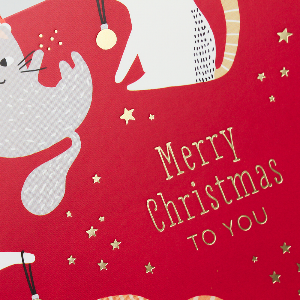Merry Christmas to you