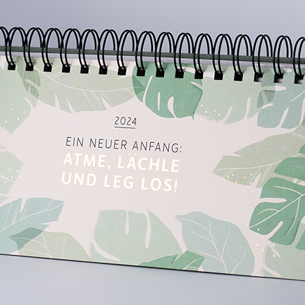 Ein neuer Anfang...