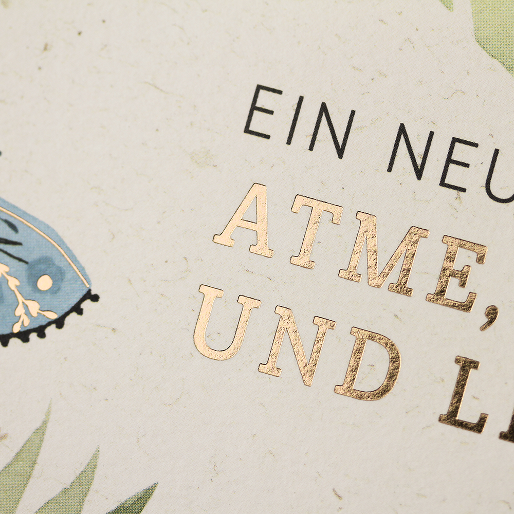 Ein neuer Anfang