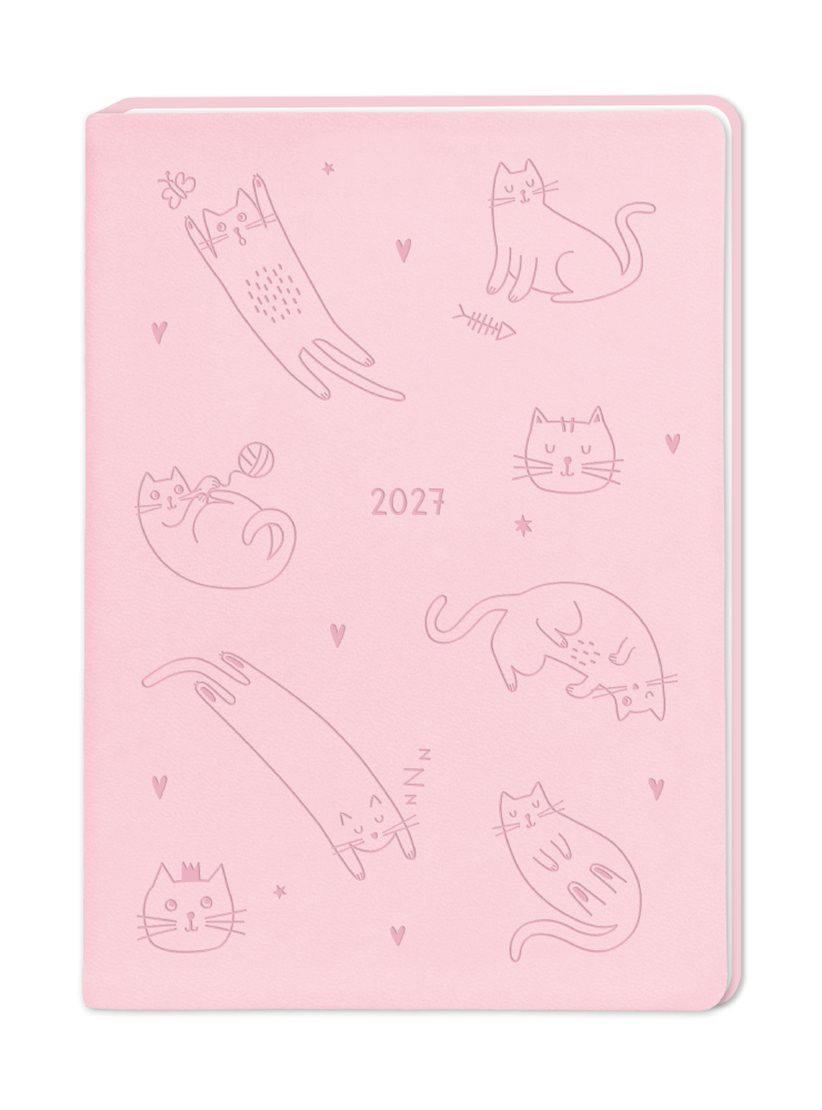 Katzen