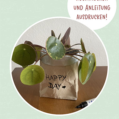 Milchtüten-Upcycling